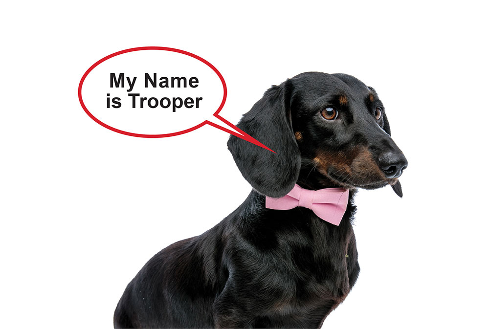 My name is Trooper and I am part of the Movetroopers