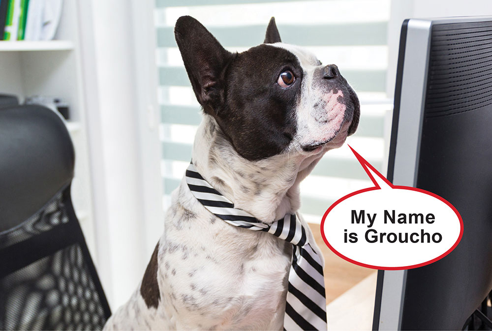 My name is Groucho Barks, and you’ll find my pawprints anywhere.