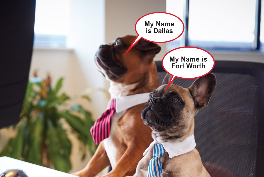 Our names are Dallas and Fort Worth, and we live in the DFW Move-o-plex
