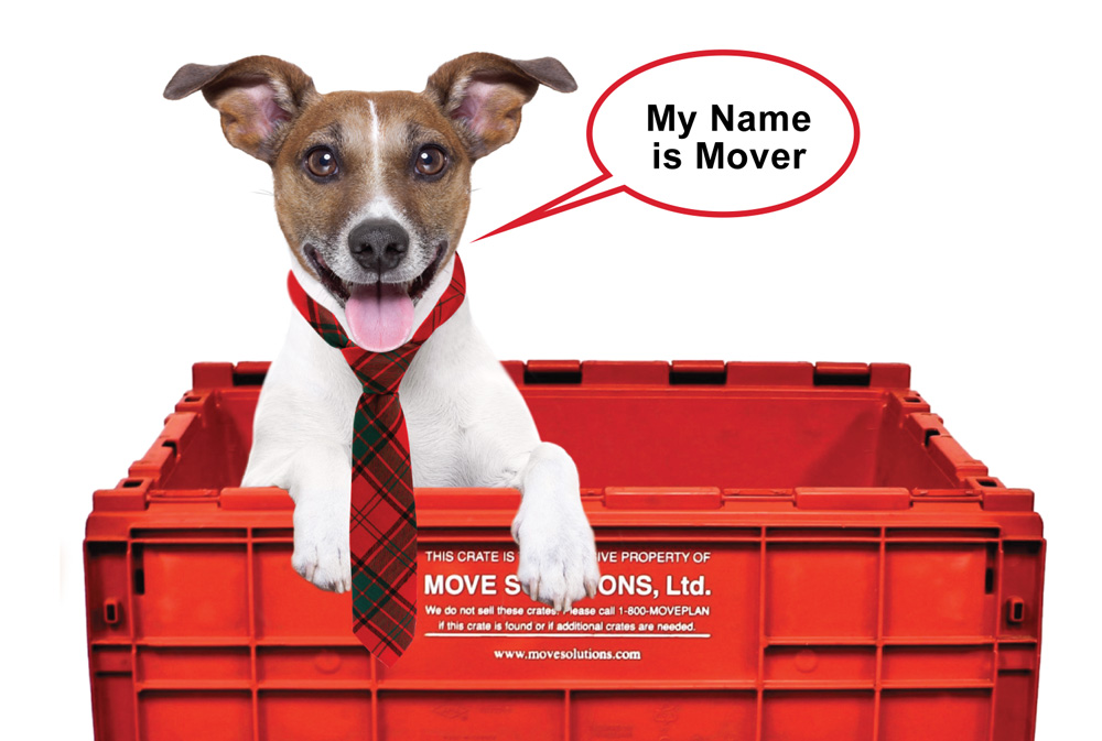 My name is Mover Cooper and I was in a movie called A Crate is Born.